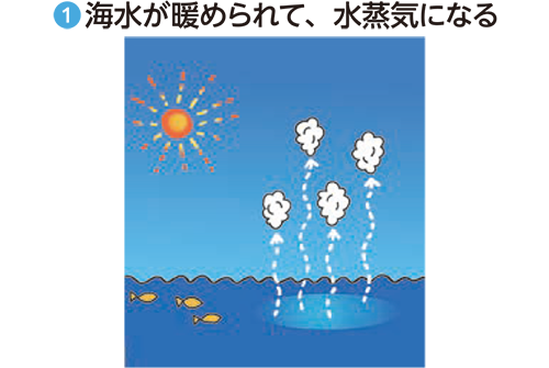 海水が暖められて、水上気になる