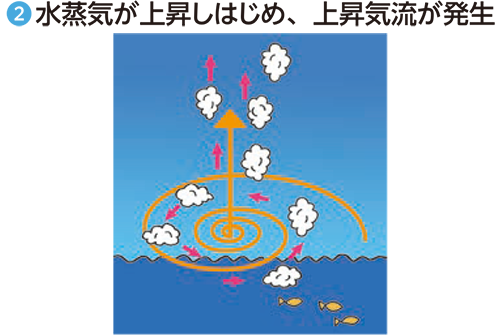 水蒸気が上昇しはじめ、上昇気流が発生