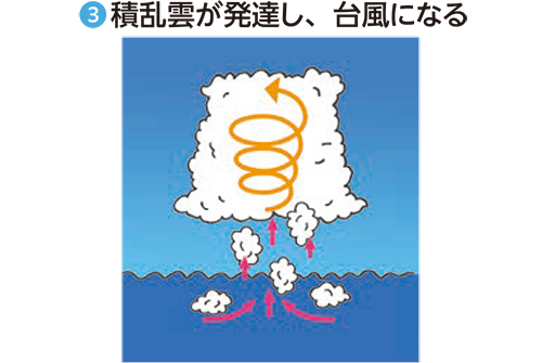 積乱雲が発達し、台風になる