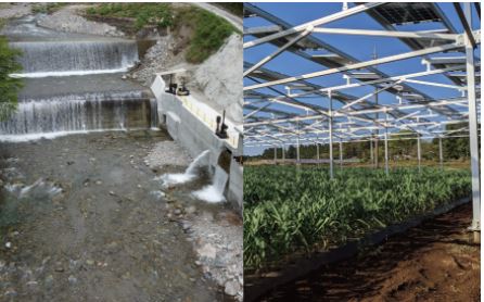 シミズが推進する再生可能エネルギー発電事業