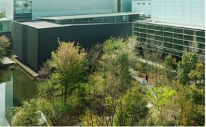 グリーンインフラ+（PLUS）