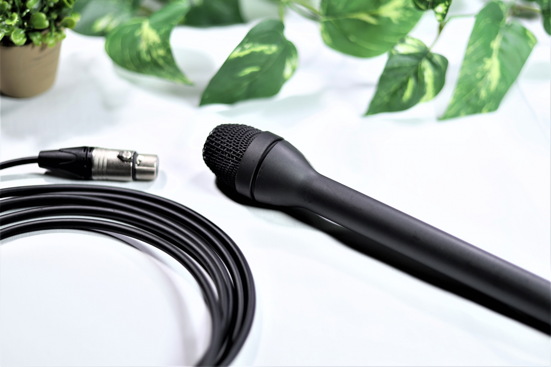 港北区役所から取材。マイクとコード