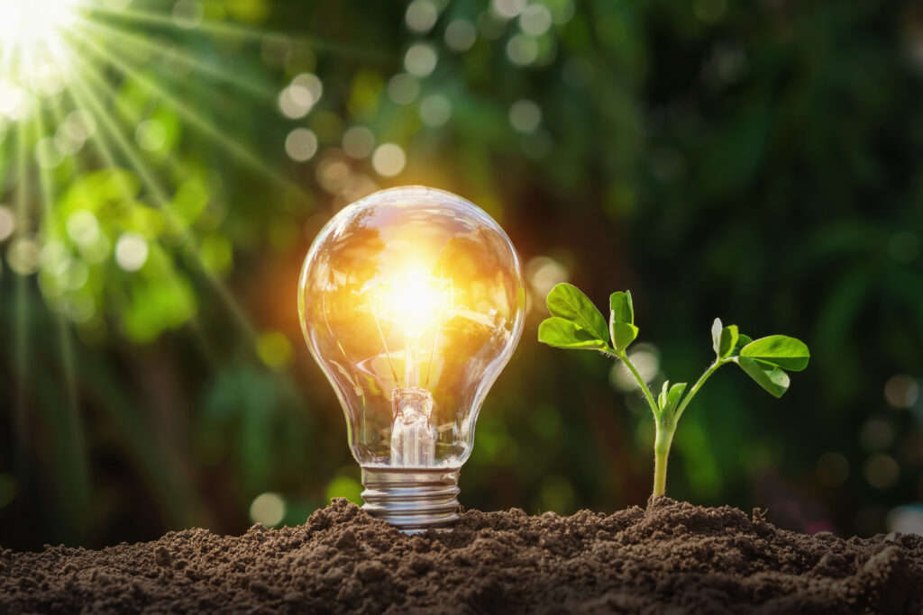 太陽に当たる電球