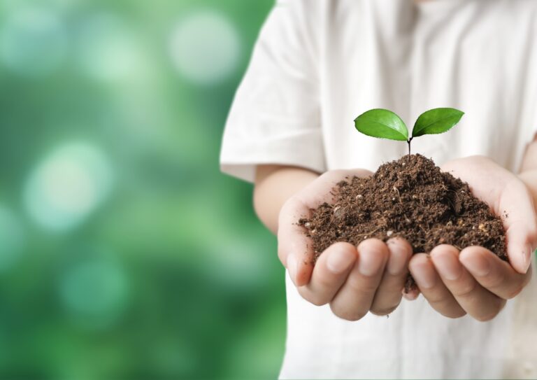 企業の社会的責任（CSR）への取り組み