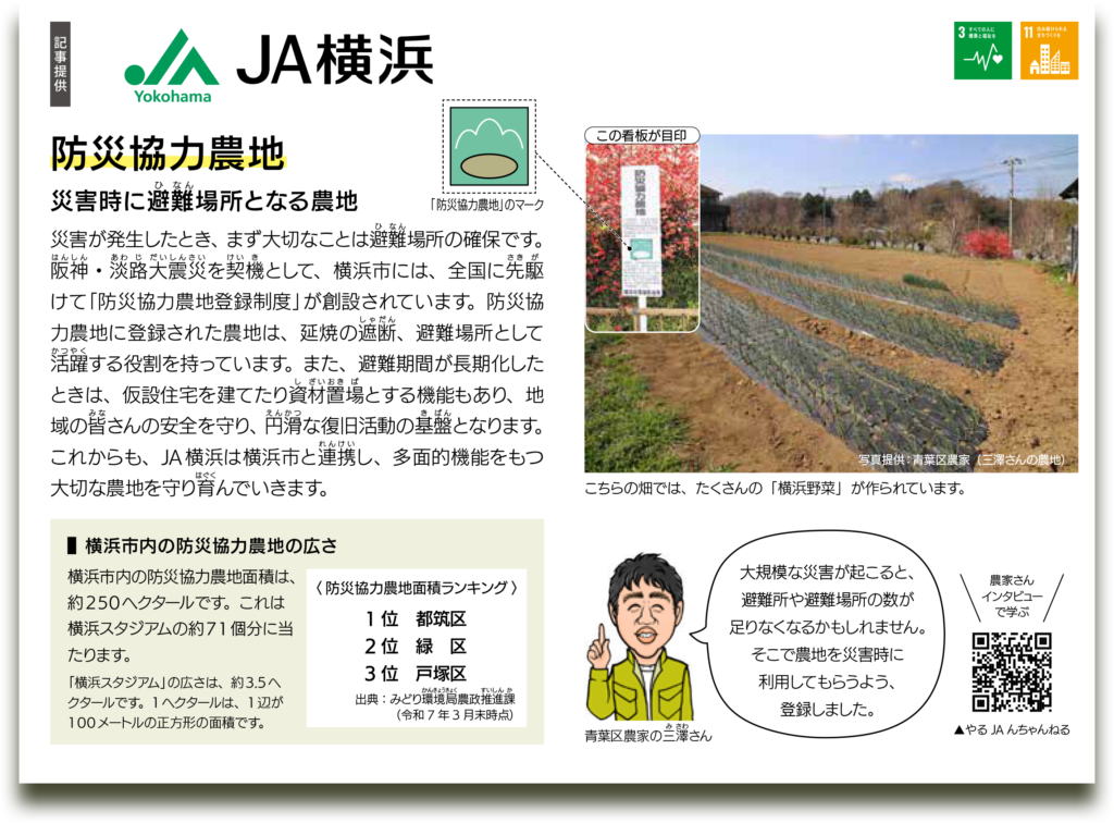 SDGs記事