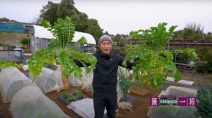 株式会社マクニカSEEDS